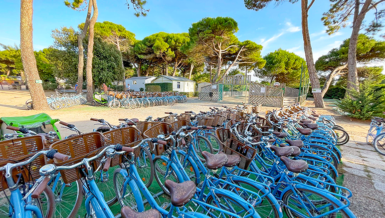 Vente privée Camping 4* Le Suroit – Parcourez la magnifique Île de Ré à vélo