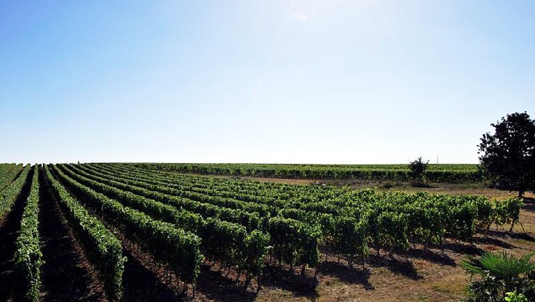 Vente privée Résidence 3* le Clos des Vignes – Les vignes de Bergerac à deux pas