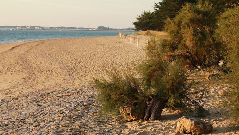 Vente privée Camping 4* La Davière – La plage en accès direct