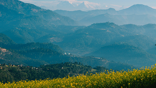 Vente privée : Morillon : été au pied des montagnes