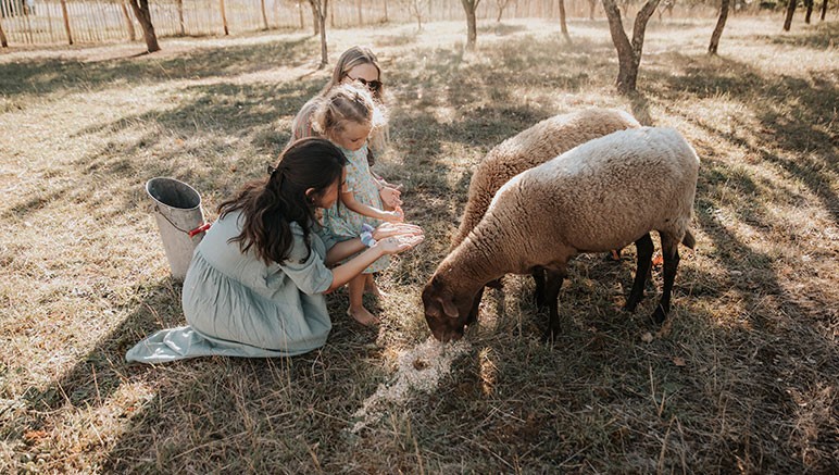 Vente privée Domaine St Amand – De nombreuses activités pour les petits et les grands