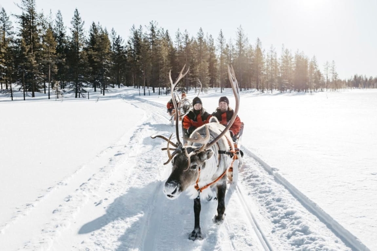 Vente privée Légendes Boréales à Rovaniemi – .