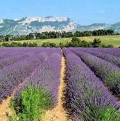 Vente privée : Entre Provence & Montagne