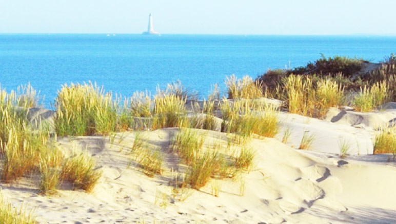 Vente privée Camping 3* Les Pins – Découvrez les belles côtes de la Gironde et ses paysages sauvages