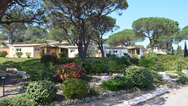 Vente privée Domaine de Villepey – Les maisons du domaine en pleine verdure