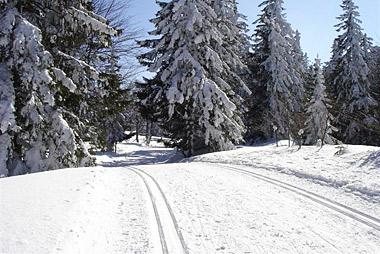 Vente privée Résidence-club Le Sornin – Autrans, réputée pour ses pistes de ski de fond