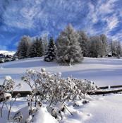 Vente privée : Au coeur de la Savoie