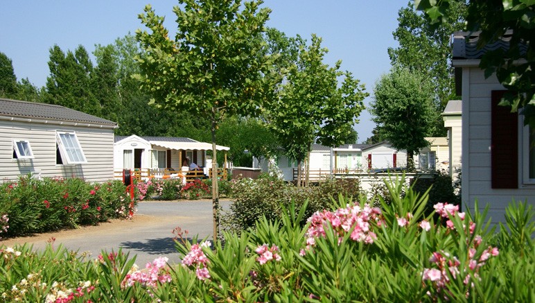 Vente privée Camping 4* La Carabasse – Le Camping 4* La Carabasse vous accueille dans un cadre verdoyant