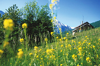 Vente privée Le Hameau de Praroustan – Pra Loup, station dynamique et ensoleillée