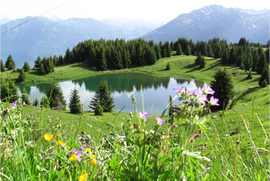 Vente privée Résidence Les 4 Vallées – Le Lac de la Grande Léchère à 10 km 