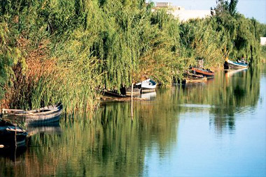 Vente privée Résidence Port SAPLAYA – Parc Naturel de la Albufera à 5km