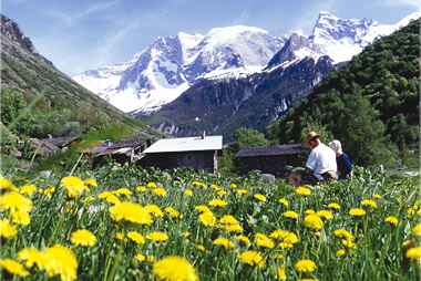 Vente privée Résidence & spa 4* Les Alpages de Champagny Prestige – Les glaçiers de Champagny en Vanoise