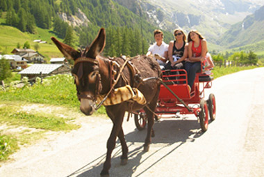 Vente privée Résidence l'Oree des cîmes  – Balade en calèche à Peisey Vallandry