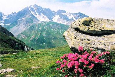 Vente privée Résidence les chalets de La Toussuire – Parc national de la Vanoise à 54km